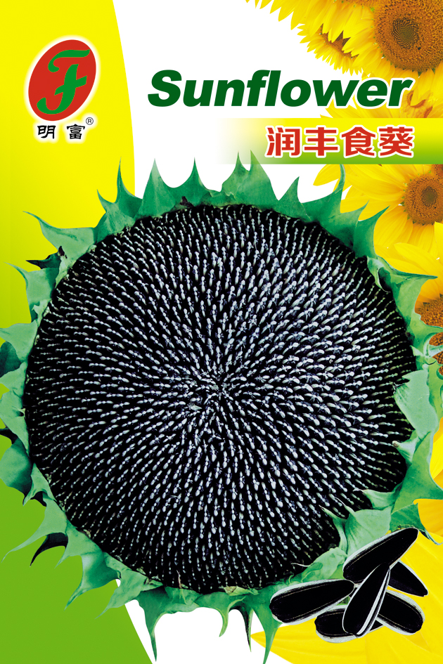 润丰食葵