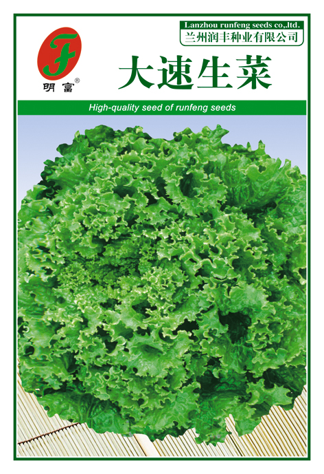 大速生菜