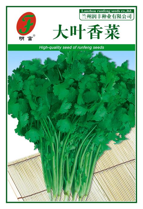 大叶香菜