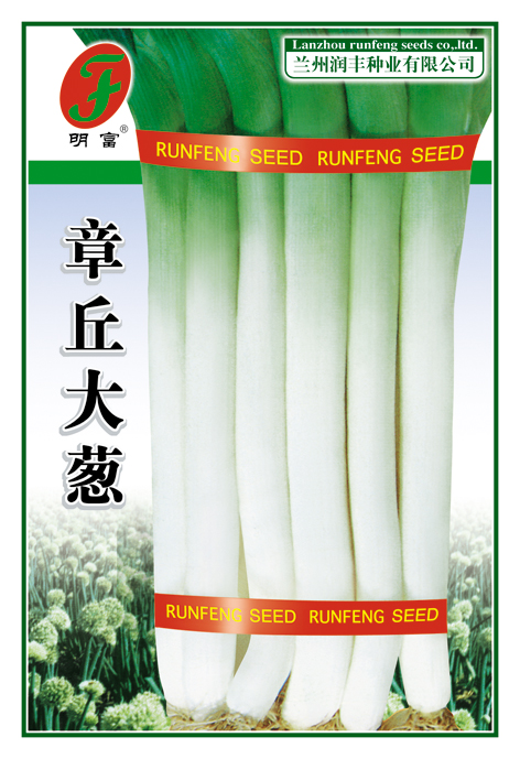 章丘大葱