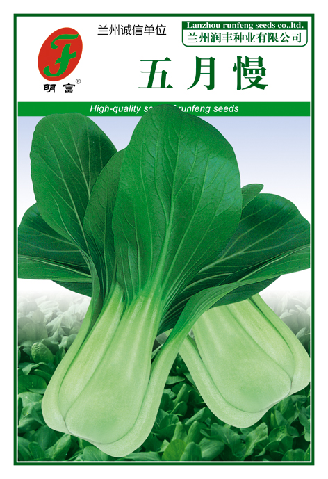 五月慢