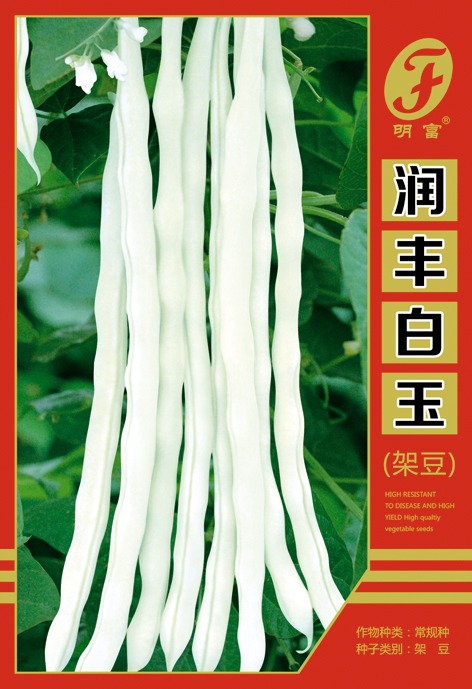 润丰白玉架豆