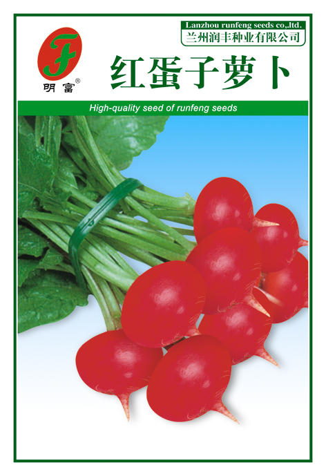 红蛋子萝卜