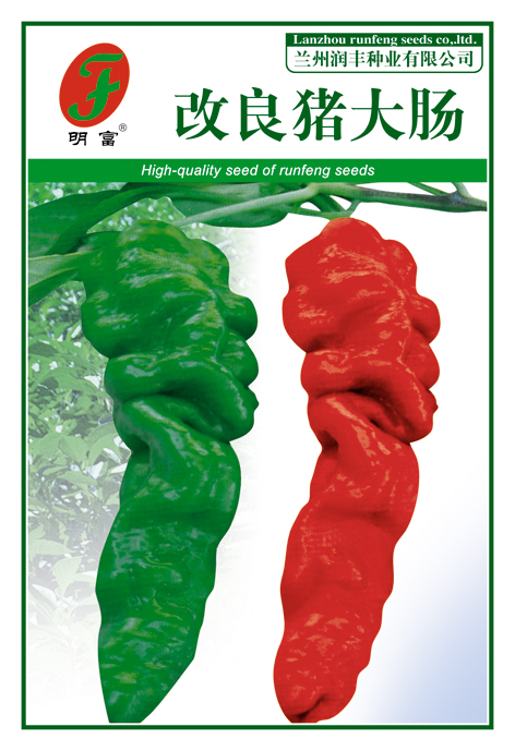 改良猪大肠