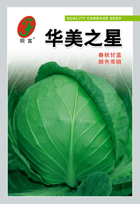 华美之星