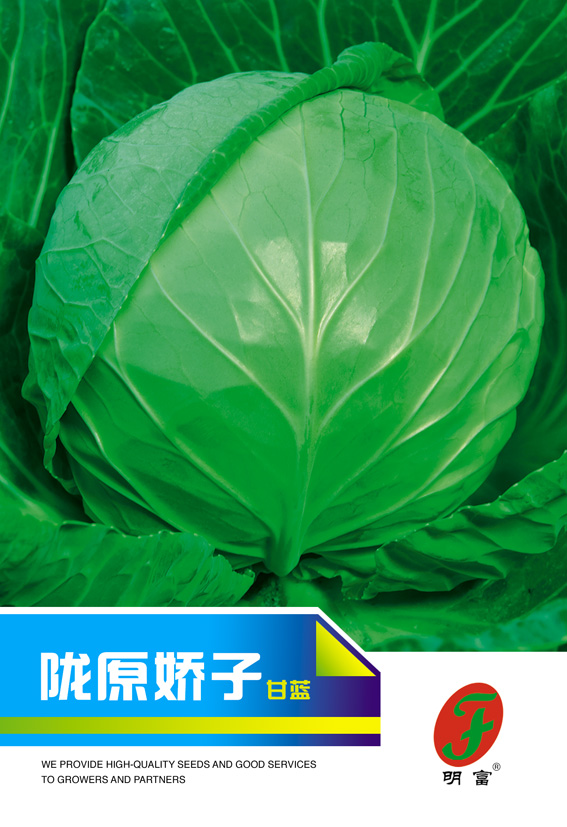 陇原娇子
