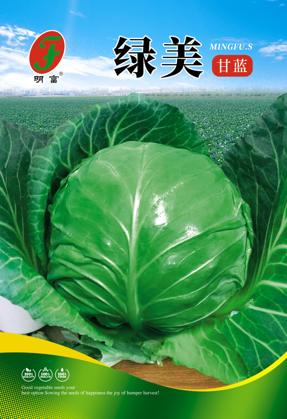 绿美