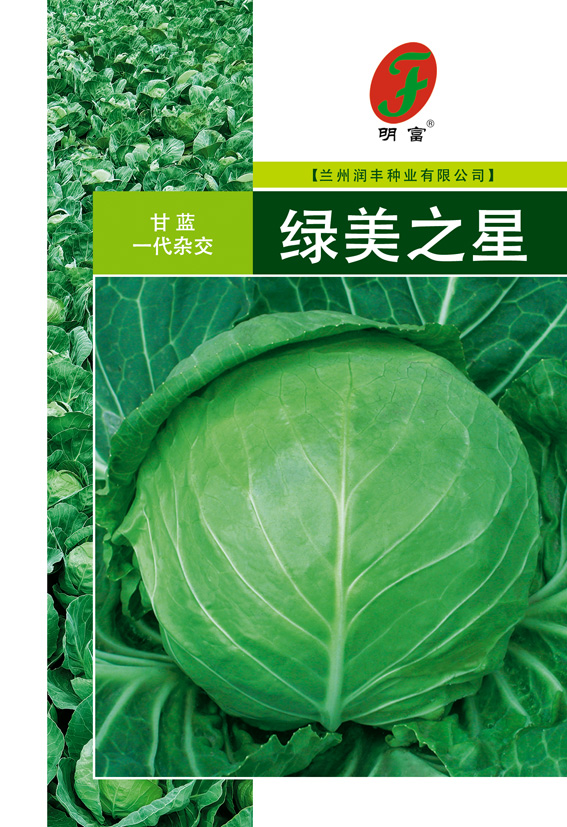 绿美之星