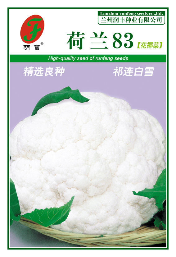 荷兰83