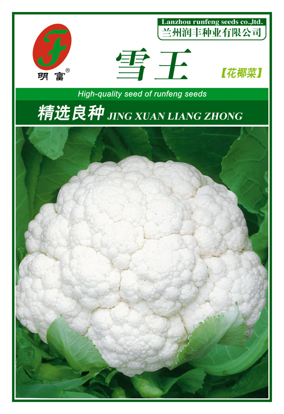 雪王