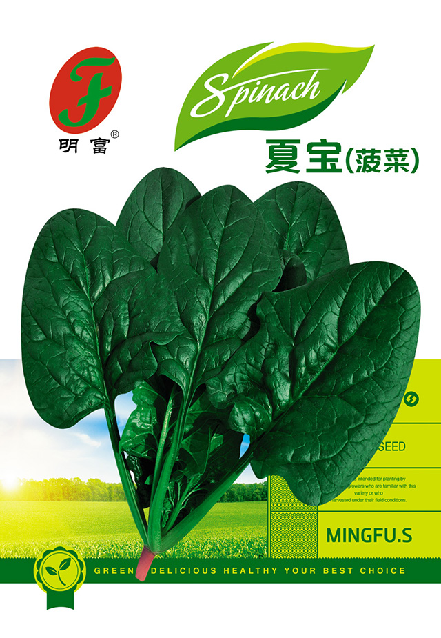 18-26夏宝