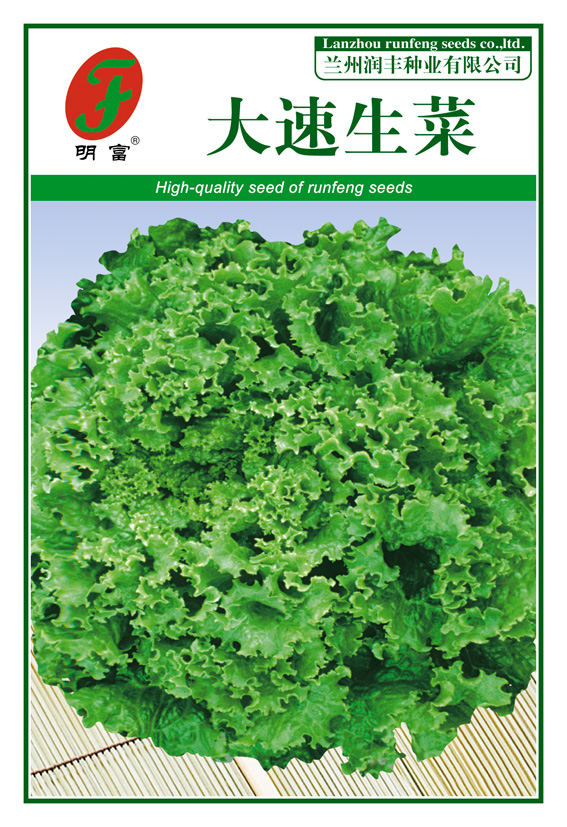 大速生菜