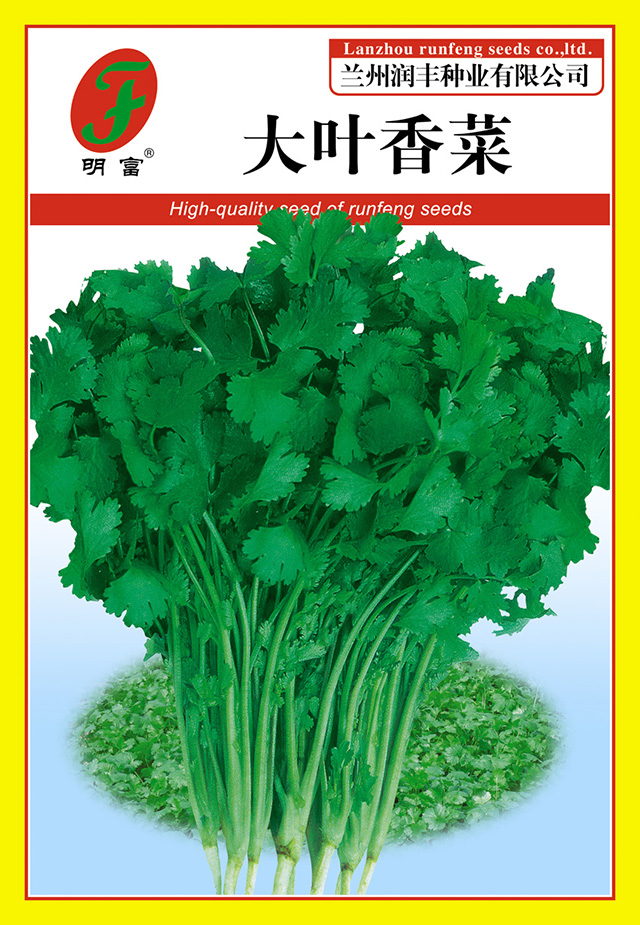 18-26大叶香菜