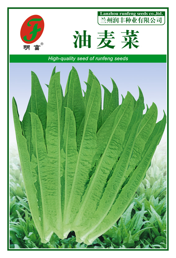 油麦菜