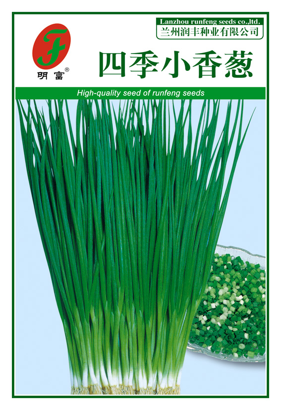 四季小香葱