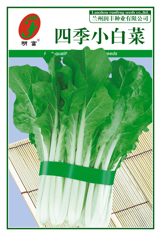 四季小白菜