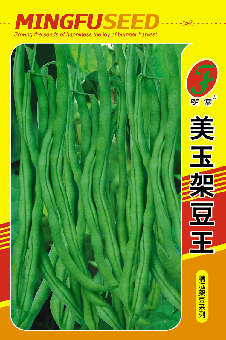16-24美玉架豆王