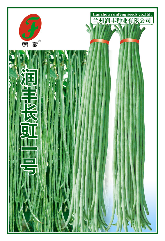 润丰长豇一号