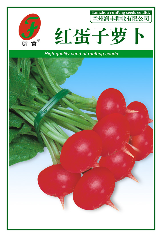 红蛋子萝卜