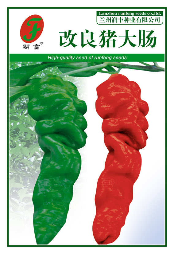 改良猪大肠