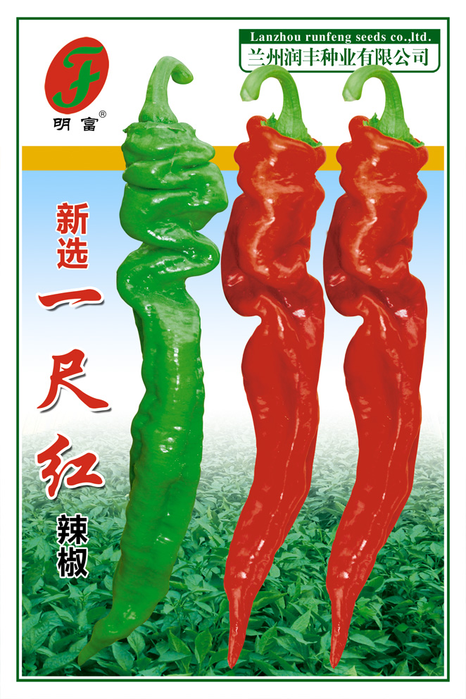 新选一尺红