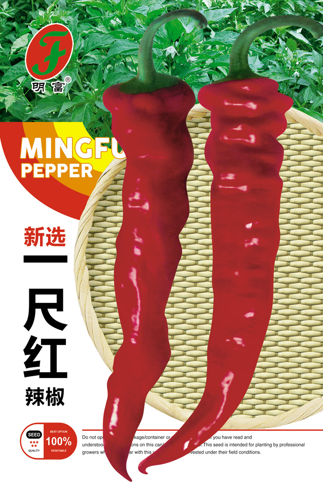 新选一尺红辣椒